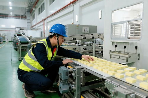 一條產線，決定一口食品的安全——食品廠生產線設備安裝的工程底線